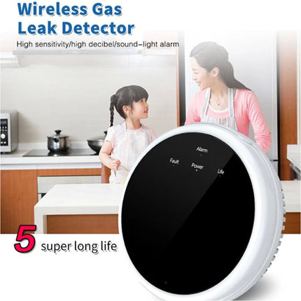 Natural Gas Detector Home Liquefied Petroleum Tester