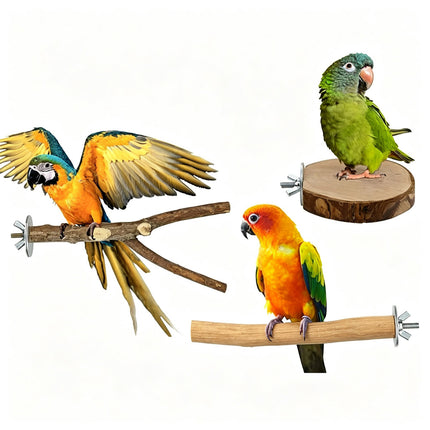 8PCS Natural Wooden Bird Perch Stand Branch, Parrot Cage Perch for Cockatiels Budgies