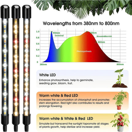 4 Head LED Grow Light with Stand for Indoor Plants Full Spectrum Plant Grow Lamp