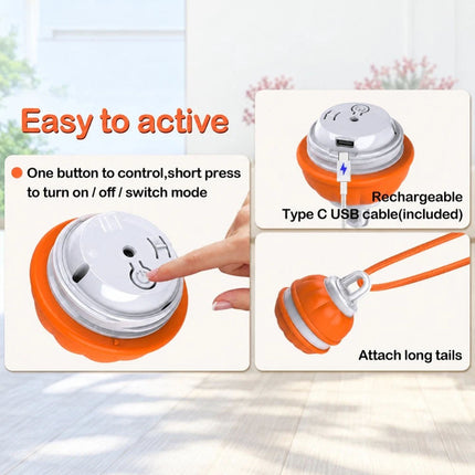 1-2PCS Interactive Smart Dog Ball with Swing Rope Tail | USB Rechargeable