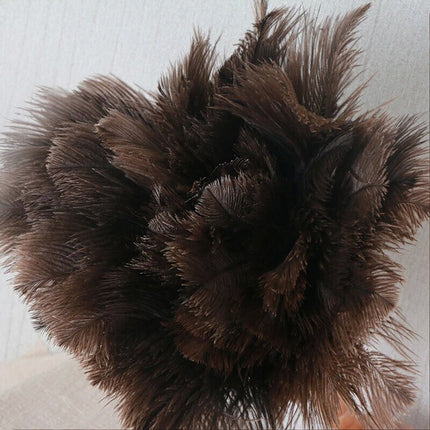 Anti-Static Ostrich Feather Duster Wooden Handle Brush Duster Dust Cleaning Tool