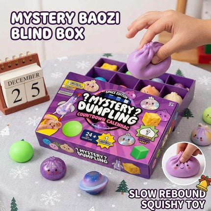 Fidget Mystery Dumpling Advent Calendar Adults Christmas Gift 24 Days Dumpling Toys Countdown
