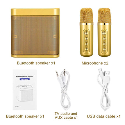 Wireless Bluetooth Speaker Home Karaoke Singing Machine Dual Microphone