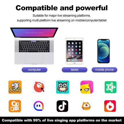 Home Studio Recording Kit Podcast Music Mixer Equipment Condenser Microphone Set