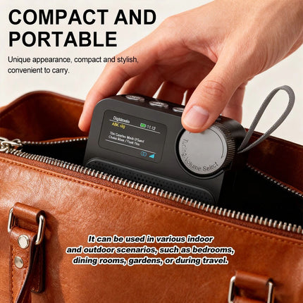 Portable Digital DAB+FM Radio & Bluetooth 5.3 Broadcasting Player Rechargeable