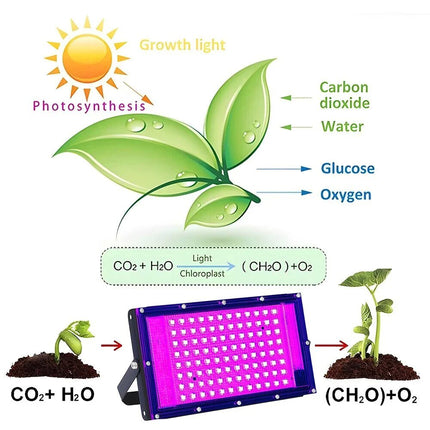 Full Spectrum Plant 96 LED UV Grow Light Halo Lamp For Indoor Hydroponic Plant