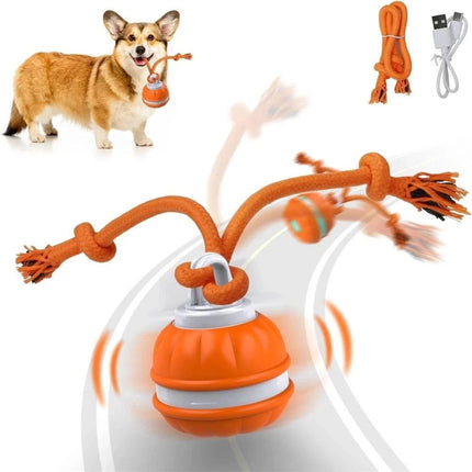 1-2PCS Interactive Smart Dog Ball with Swing Rope Tail | USB Rechargeable