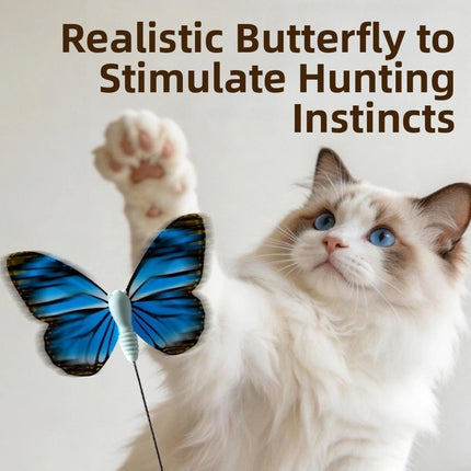 360° Rotation Automatic Cat Teaser Electric Butterfly Cat Toy Indoor    （Green）