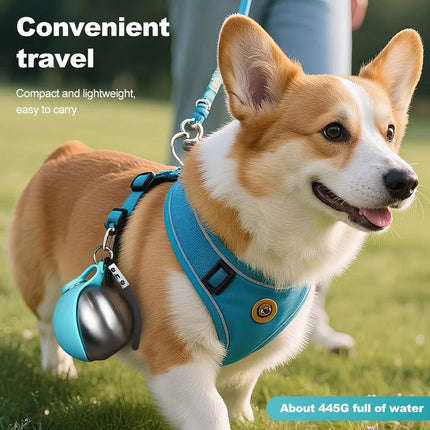 285ml 2-in-1 Portable Dog Water Bottle for Small Dogs - Compact Design for Outdoor Walking