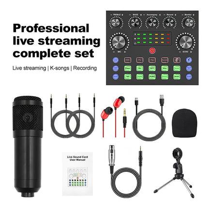 Home Studio Recording Kit Podcast Music Mixer Equipment Condenser Microphone Set
