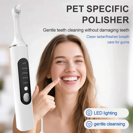 Dental Electric Teeth Polisher Cleaner Whitening Plaque Stain Remover Tool