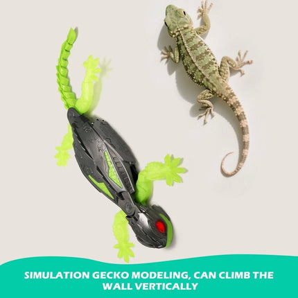 Wall Climbing Gecko Toy Rechargeable Electric Robot Drives on Walls