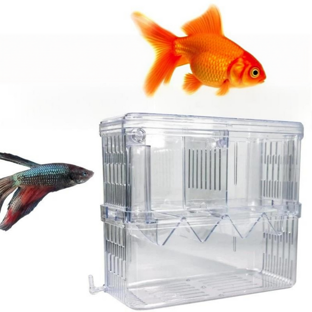 Fish Breeding Box Aquarium Breeding Box Hatchery Isolation Box for Guppy Betta