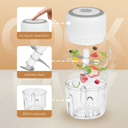 250ML USB Rechargeable Mini Food Garlic Grinder Electric Garlic Chopper Cordless