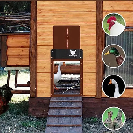 Automatic Chicken Coop Door Smart Control Poultry Gate Entry Exit for Pet House
