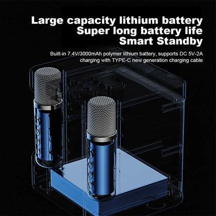 Wireless Bluetooth Speaker Home Karaoke Singing Machine Dual Microphone