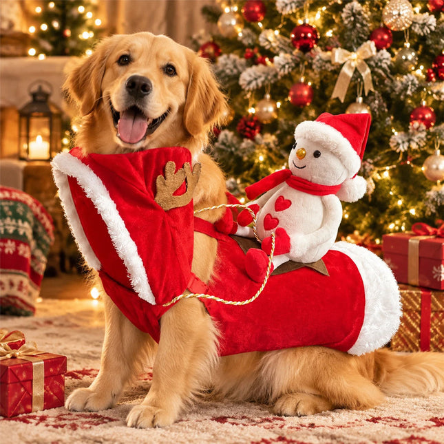 Santa Claus Riding Dog Christmas Xmas Party Costume Pet Puppy Cat Clothes Outfit