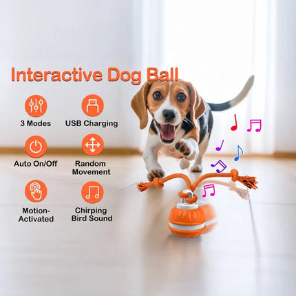 1-2PCS Interactive Smart Dog Ball with Swing Rope Tail | USB Rechargeable
