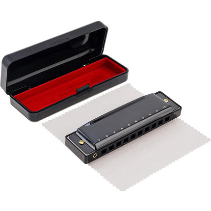 10-Hole Blues Harmonica in Key of C - Beginner Diatonic Mouth Organ for Adults
