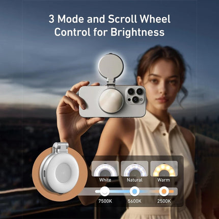 Portable Beauty Selfie Light Ring Flash Clip Rechargeable with Mirror Silver