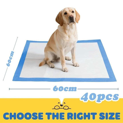 Puppy Dog Training Pads Pet Toilet Pee Pads Mat Indoor Absorbent 60x60cm 45x60cm
