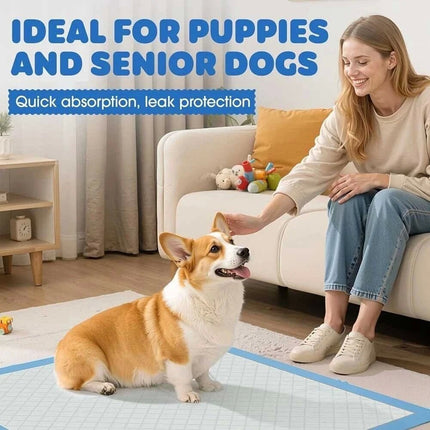 Puppy Dog Training Pads Pet Toilet Pee Pads Mat Indoor Absorbent 60x60cm 45x60cm
