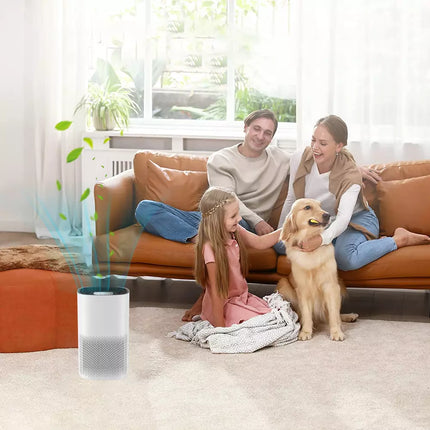 Home Air Purifiers For Large Room Medical Grade  Air Purifier Smoke Odor Pet