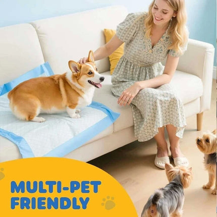 Puppy Dog Training Pads Pet Toilet Pee Pads Mat Indoor Absorbent 60x60cm 45x60cm