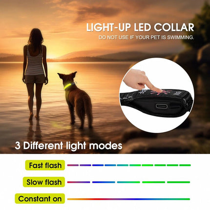 USB Rechargeable LED Dog Collar Nylon Glow Flashing Light Up Safety Pet Collars