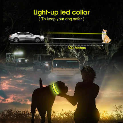 USB Rechargeable LED Dog Collar Nylon Glow Flashing Light Up Safety Pet Collars