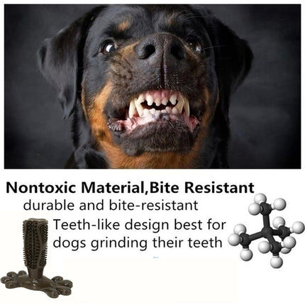 Chocolate L Size Pet Dog Chew Toy Teeth Cleaning Toothbrush