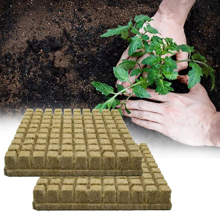 100Pcs Grow Starter Rockwool Cubes Plug Hydroponic Planting Cloning Propagation