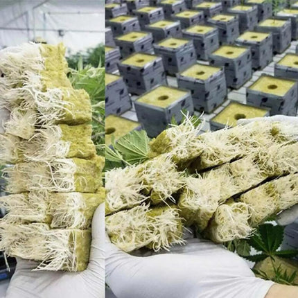100Pcs Grow Starter Rockwool Cubes Plug Hydroponic Planting Cloning Propagation