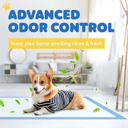 50Pcs Super Absorbent Disposable Dog Training Pads Pet Puppy Pee Pad Leak-Proof