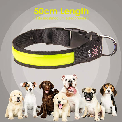 USB Rechargeable LED Dog Collar Nylon Glow Flashing Light Up Safety Pet Collars