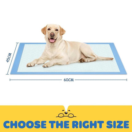 50Pcs Super Absorbent Disposable Dog Training Pads Pet Puppy Pee Pad Leak-Proof