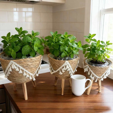 Set of 3 Plant Pot Stand With Wooden Leg Balcony Display Holder Indoor Flower