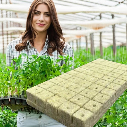 100Pcs Grow Starter Rockwool Cubes Plug Hydroponic Planting Cloning Propagation