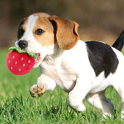 Pet Dog Chew Toys Cute Squeaker Squeaky Soft Plush Play Sound Puppy Teeth Toys