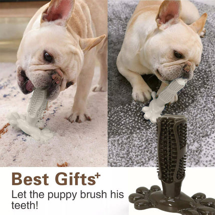 Chocolate L Size Pet Dog Chew Toy Teeth Cleaning Toothbrush