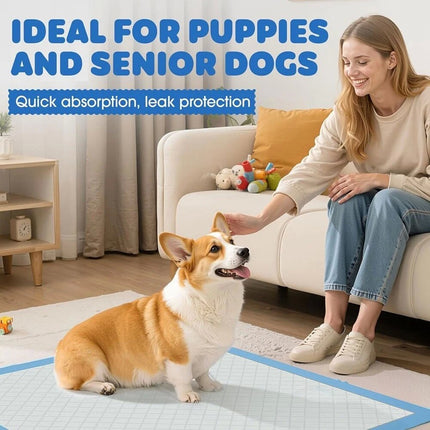 50Pcs Super Absorbent Disposable Dog Training Pads Pet Puppy Pee Pad Leak-Proof