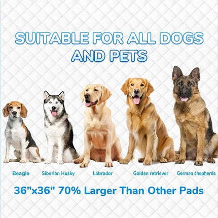Puppy Dog Training Pads Pet Toilet Pee Pads Mat Indoor Absorbent 60x60cm 45x60cm