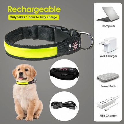 USB Rechargeable LED Dog Collar Nylon Glow Flashing Light Up Safety Pet Collars