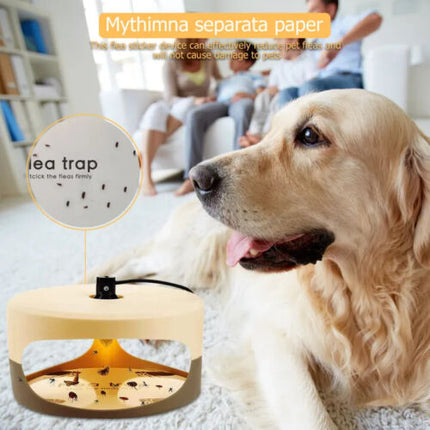 Flea Trap Sticky Dome Bed Bug Trap Pest Control Trapper Insect Killer Non-Toxic