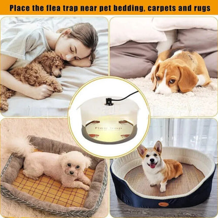 Flea Trap Sticky Dome Bed Bug Trap Pest Control Trapper Insect Killer Non-Toxic