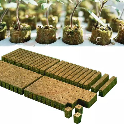 100Pcs Grow Starter Rockwool Cubes Plug Hydroponic Planting Cloning Propagation