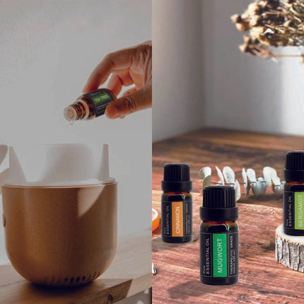 100% Pure Natural Aromatherapy Diffuser Essential Oil 10ml Splendid&Co.