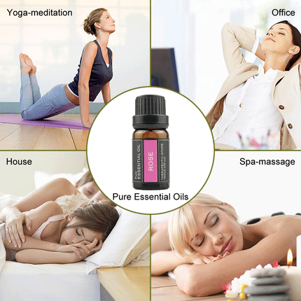 100% Pure Natural Aromatherapy Diffuser Essential Oil 10ml Splendid&Co.
