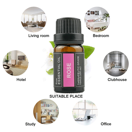 100% Pure Natural Aromatherapy Diffuser Essential Oil 10ml Splendid&Co.