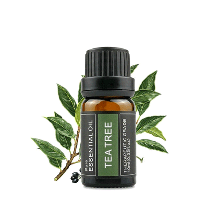 100% Pure Natural Aromatherapy Diffuser Essential Oil 10ml Splendid&Co.